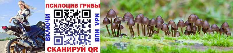 Псилоцибиновые грибы Magic Shrooms  Калач 